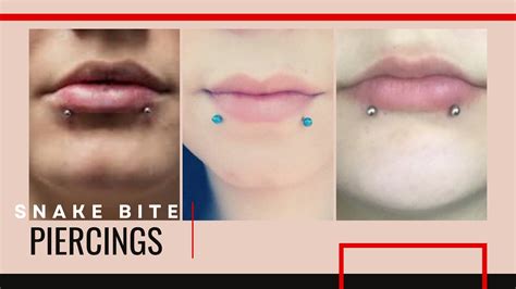 lip piercing snake bites|Snake Bite Lip Piercing: Pain, Healing, Aftercare, & Risk